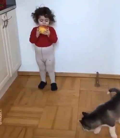 娱乐吃瓜酱拍照小狗狗,娱乐吃瓜酱与小狗狗的甜蜜互动